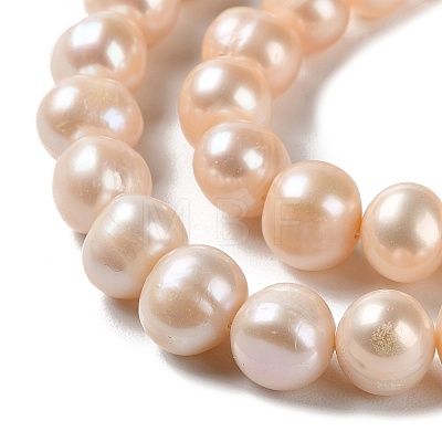 Natural Cultured Freshwater Pearl Beads Strands PEAR-E018-23-1