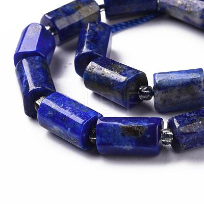 Natural Lapis Lazuli Beads Strands G-S345-8x11-002-1