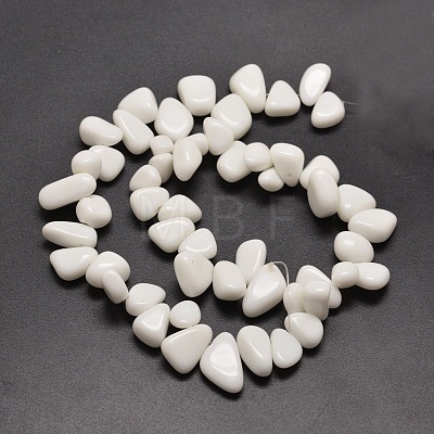 Opaque Glass Chip Beads Strands G-M204-60-1