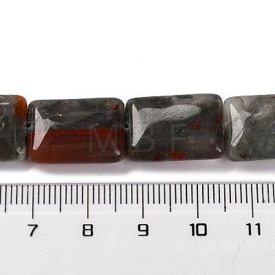 Natural African Bloodstone Beads Strands G-T047-B06-01-1