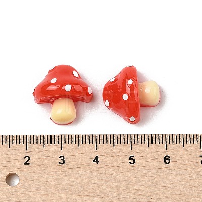 Resin Cabochons RESI-S012-03A-1