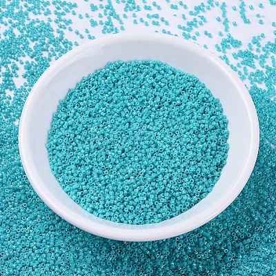 MIYUKI Delica Beads X-SEED-J020-DB0658-1