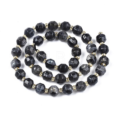 Natural Larvikite Beads Strands G-N326-100-11-1