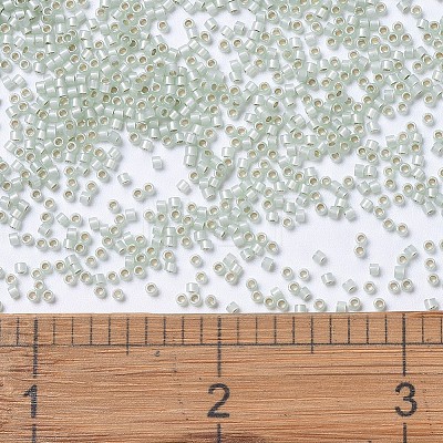 MIYUKI Delica Beads SEED-X0054-DB1454-1