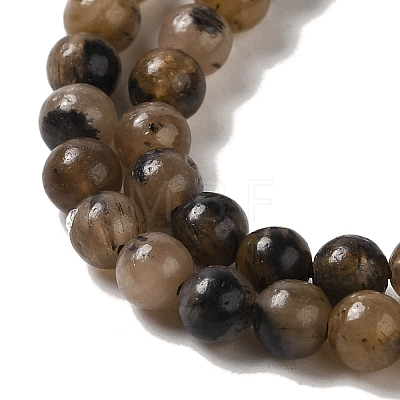 Natural Chiastolite Beads Strands G-Q161-A03-01-1