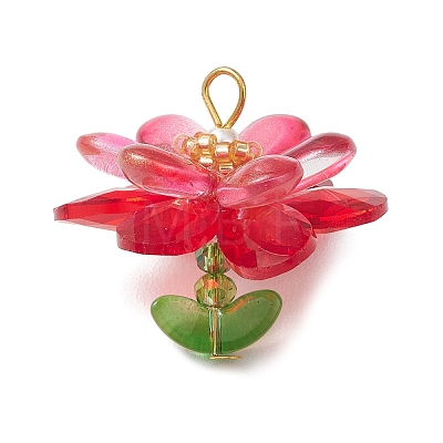 Glass & Acrylic Pendantns PALLOY-MZ01163-02-1