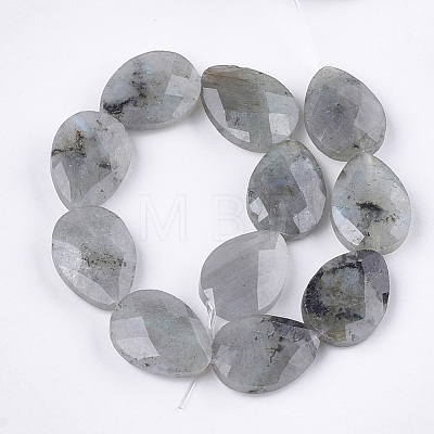 Natural Labradorite Beads Strands G-S354-07-1