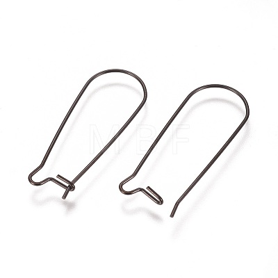 304 Stainless Steel Hoop Earrings Findings Kidney Ear Wires X-STAS-L216-22A-B-1