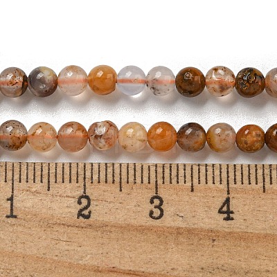 Natural Fossil Coral Beads Strands G-B099-C02-01-1