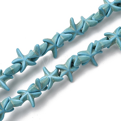 Synthetic Turquoise Dyed Beads Strands G-B184-C02-01-1