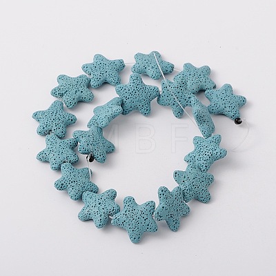 Star Synthetic Lava Rock Beads Strands G-N0099-14-1