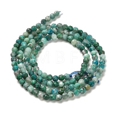 Natural Chrysocolla Beads Strands G-K373-B05-02-1