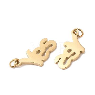 Ion Plating(IP) 304 Stainless Steel Charms STAS-Q215-16G-1