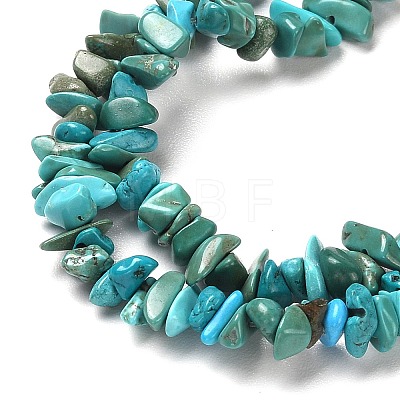 Natural Turquoise Chip Beads Strands G-D093-A01-1
