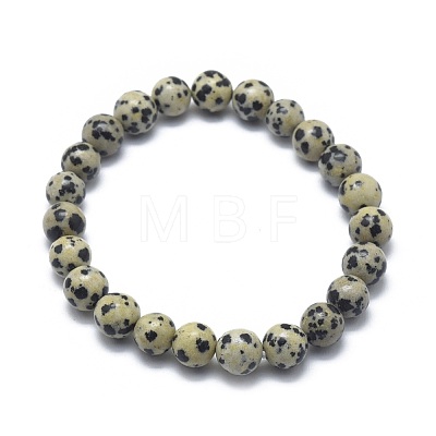 Natural Dalmatian Jasper Bead Stretch Bracelets BJEW-K212-C-014-1