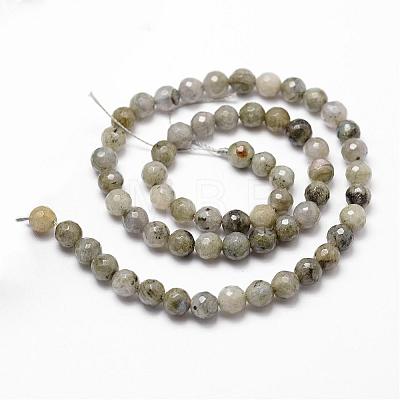 Natural Labradorite Beads Strands G-D840-10-6mm-1