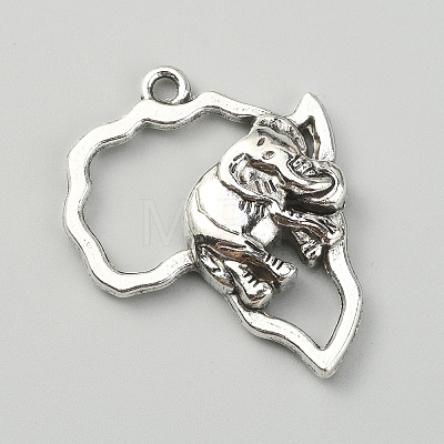 Tibetan Style Alloy Pendants FIND-WH0111-191-1