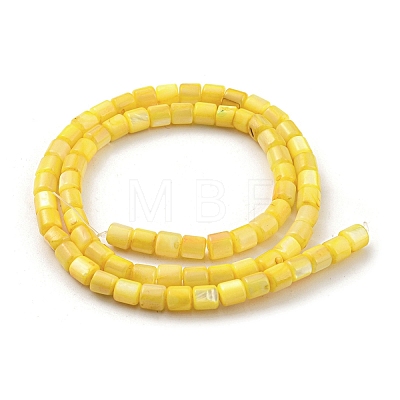 Natural Freshwater Shell Beads Strands SHEL-F008-04E-1