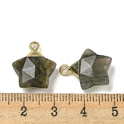 Natural Labradorite Pendants G-P540-01G-06-1