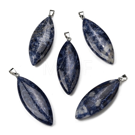Natural Sodalite Big Pendants G-F820-06N-1