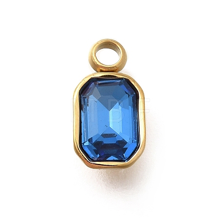 304 Stainless Steel Pendants STAS-Q346-03G-02-1