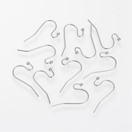 Tarnish Resistant 304 Stainless Steel Earring Hooks STAS-S066-09-1