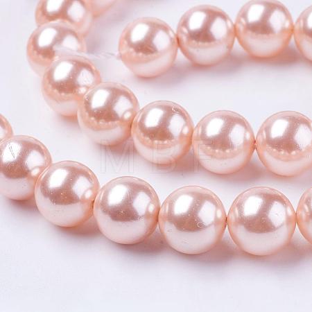 Shell Pearl Beads Strands BSHE-L035-10mm-I01-1