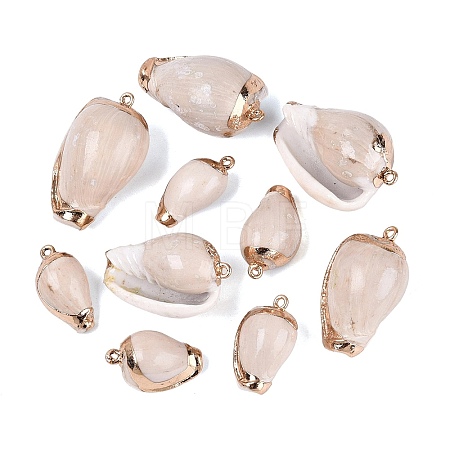 Electroplate Natural Spiral Shell Pendants SSHEL-Q100-51G-1