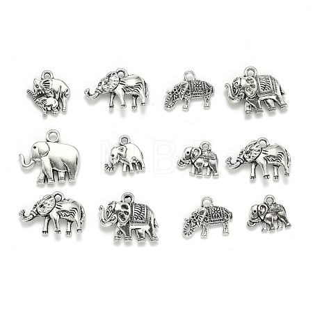 Tibetan Style Alloy Pendants TIBEP-MSMC021-04AS-1