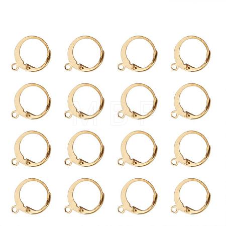 304 Stainless Steel Leverback Earring Findings STAS-G081-62G-1