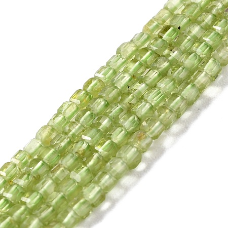 Natural Peridot Beads Strands G-K312-07A-1