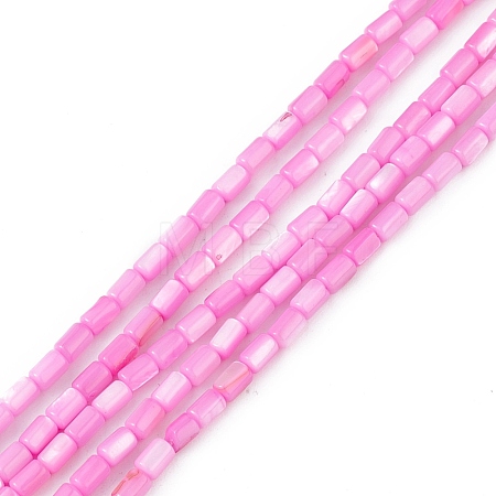 Natural Freshwater Shell Dyed Beads Strands SHEL-M018-12-10-1
