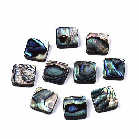 Natural Abalone Shell/Paua Shell Beads SSHEL-T014-12B-1