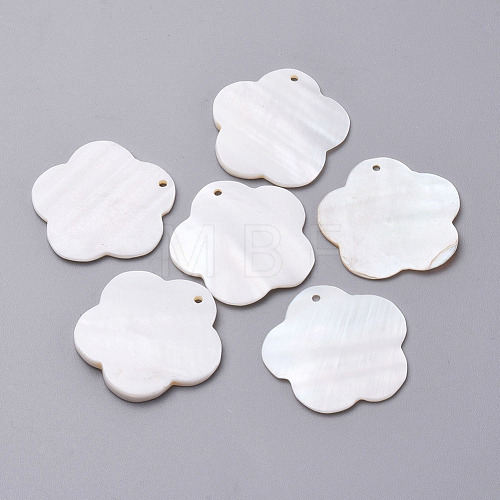 Freshwater Shell Pendants X-SHEL-T007-59-1