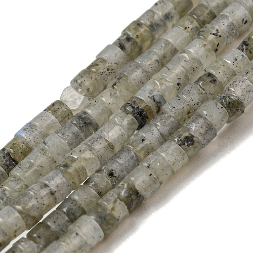 Natural Labradorite Beads Strands G-C084-D13-02-1