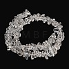 Natural Quartz Crystal Beads Strands GG-CBAC61B-C03-01-4