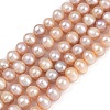 Natural Cultured Freshwater Pearl Beads Strands PEAR-I007-07J-07B-2