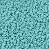MIYUKI Delica Beads SEED-MY11-DB1586-3
