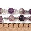 Natural Fluorite 3-Hole Guru Beads Strands G-H064-E10-01-2