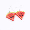304 Stainless Steel & Resin Dangle Earrings WG56BB9-03-1