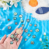 16Pcs 4 Styles Natural Paua Shell Cabochons SHEL-WR0001-13-3