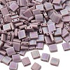 MIYUKI TILA Beads X-SEED-J020-TL410FR-4