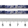 Natural Blue Spot Jasper Beads Strands G-B091-A03-01-5