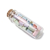 Transparent Glass Wishing Bottle Decoration PALLOY-JF03136-3