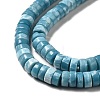 Natural Gemstone Beads Strands G-F730-03B-4
