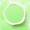 Luminous Glow in the Dark Transparent Mini Glass Round Beads GLAA-F124-A06-4