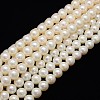 Natural Cultured Freshwater Pearl Beads Strands PEAR-L001-I-13-1