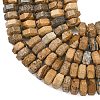 Natural Picture Jasper Beads Strands G-L654-I07-01-4