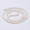 Natural Cultured Freshwater Pearl Beads Strands PEAR-P002-45-01-2