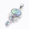 Abalone Shell/Paua Shell Pendants SSHEL-P014-18-1